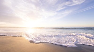 Lorem Ipsum 5